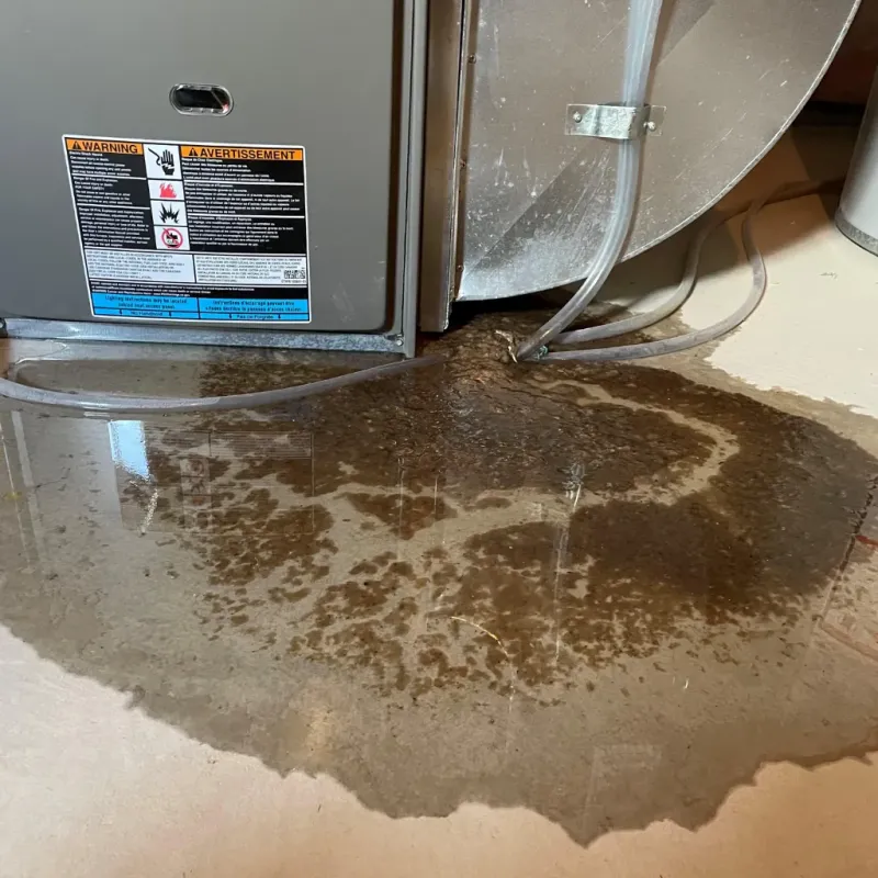 Appliance Leak Cleanup in Medway, MA